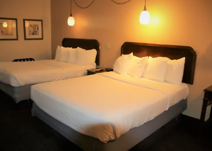 Townhouse 汽车旅馆 2*