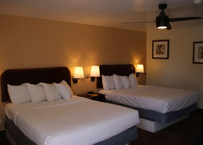 汽车旅馆 Townhouse Lusk